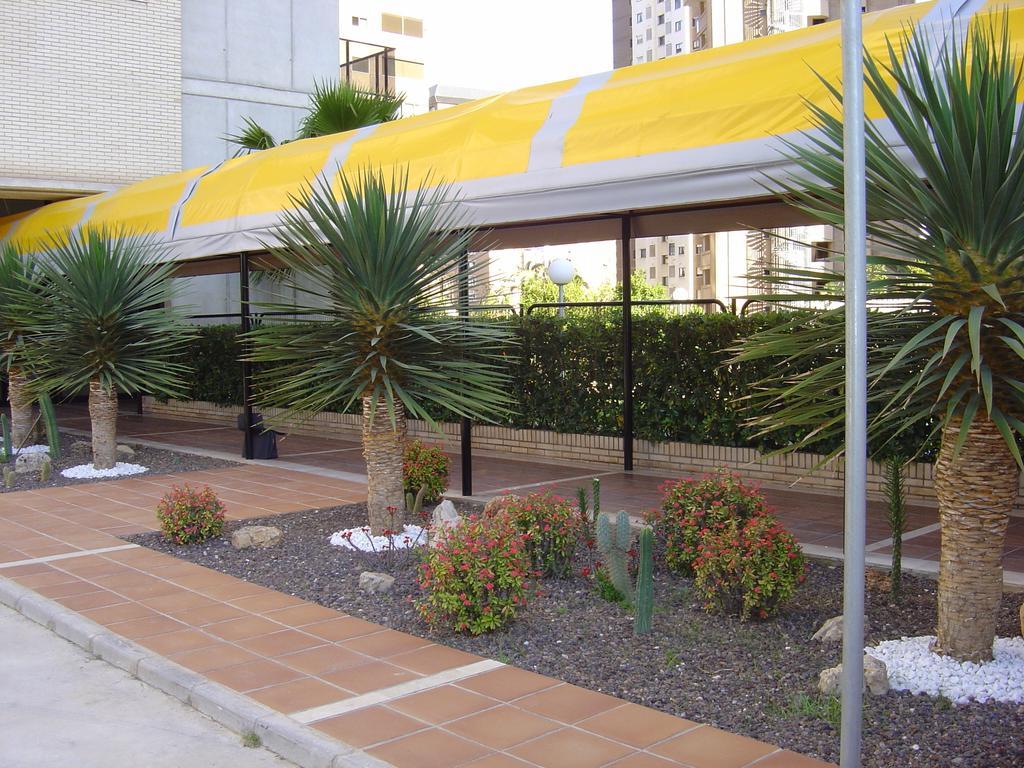 Apartamentos Torre Ipanema เบนิดอร์ม ภายนอก รูปภาพ